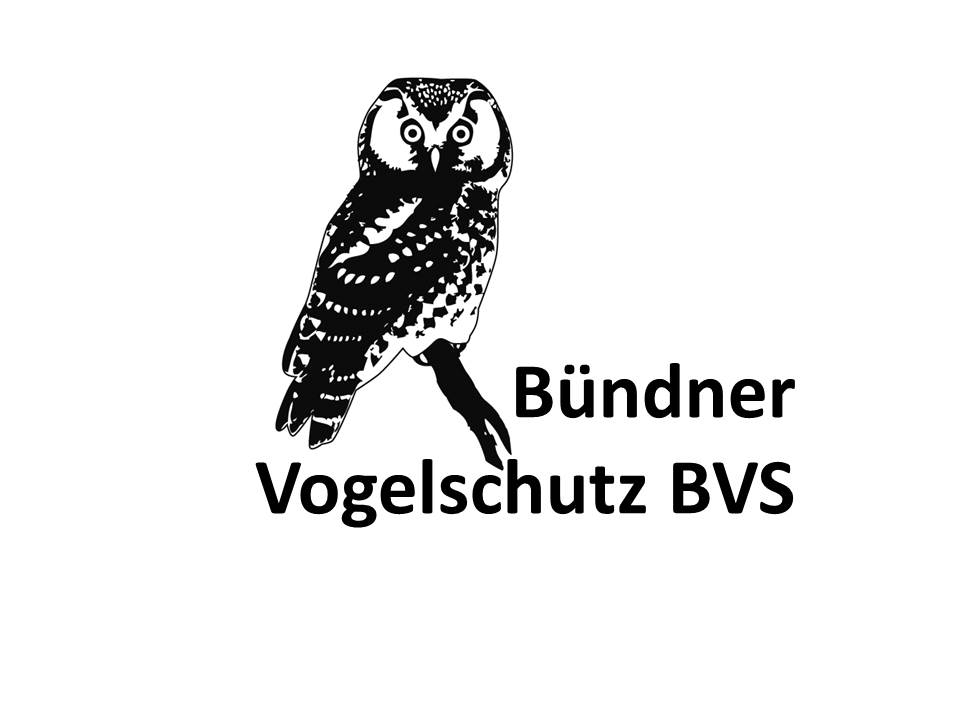 Logo Bündner Vogelschutz BVS